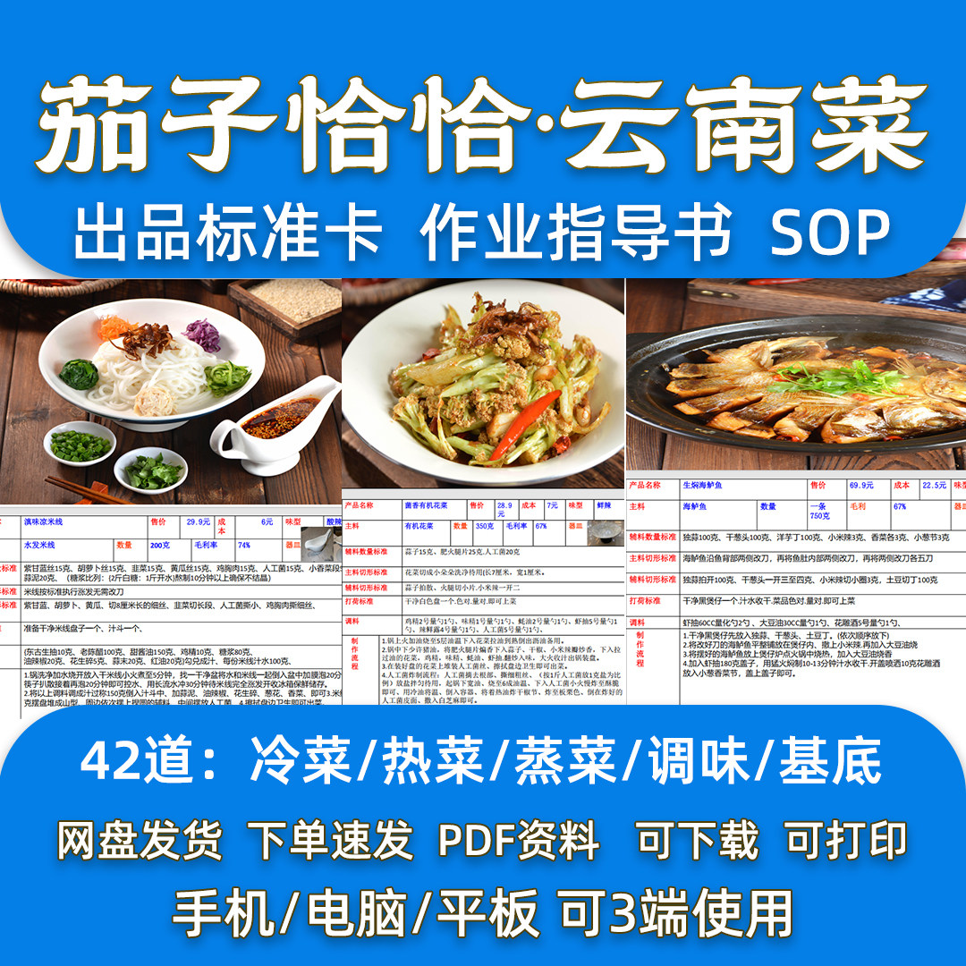 云南精致菜42道菜品配方滇菜连锁餐厅后厨出品标准卡指导SOP