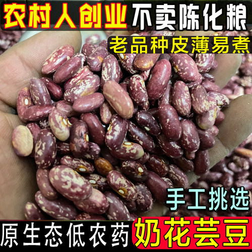 奶花芸豆东北农农家有机肥料种植饭豆子大碴子粥伴侣粮五谷粗粮