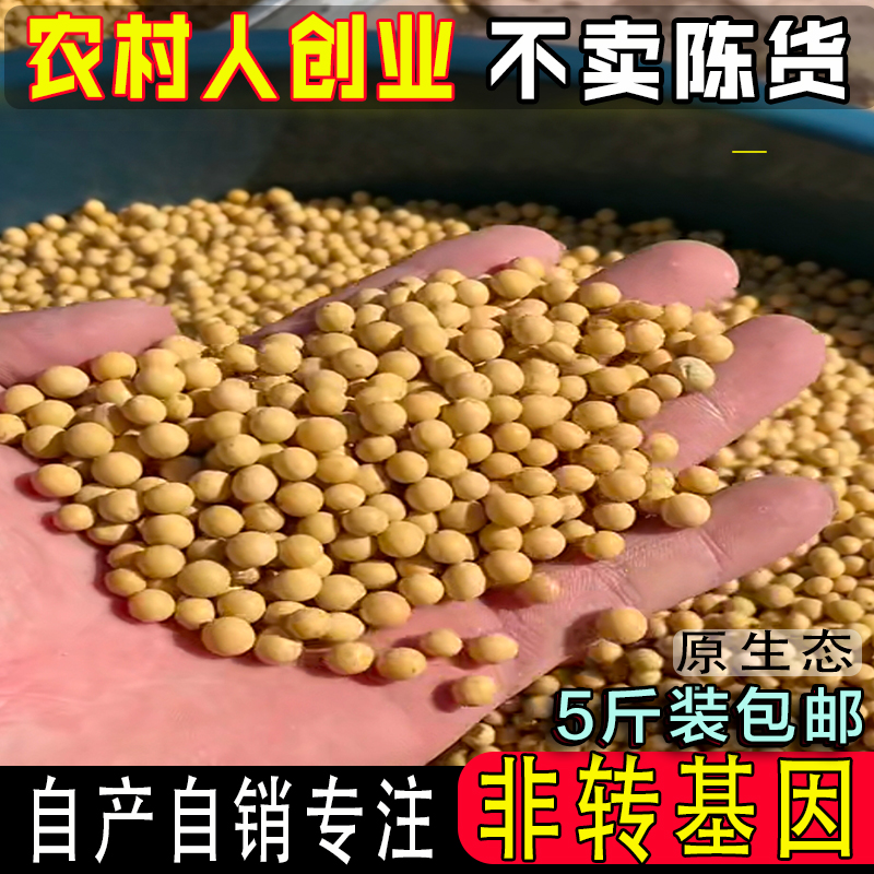 东北农家有机肥种植黄豆5斤
