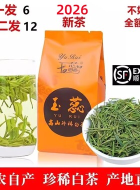 2026安吉玉蕊白茶雨前高山茶叶