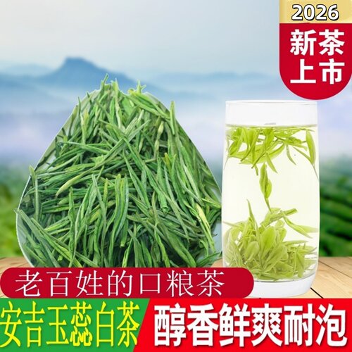 正宗白茶玉蕊浓香250g绿茶叶