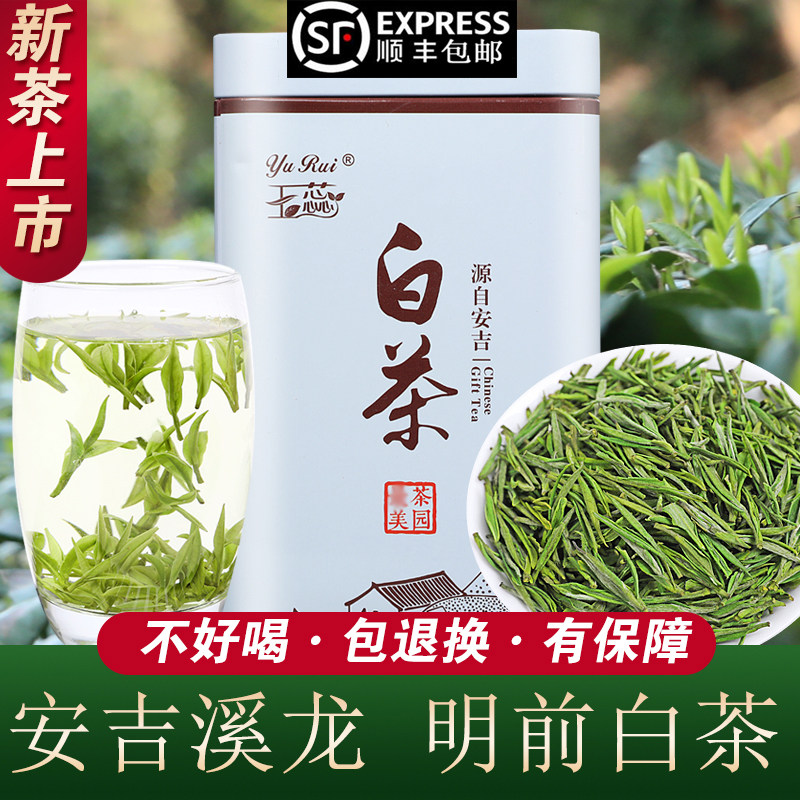 2026新茶明前玉蕊白茶原产地安吉白茶