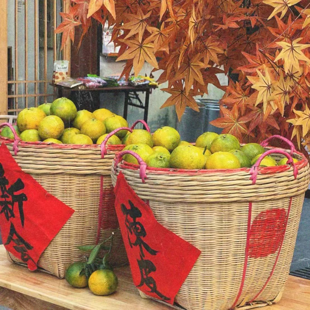 2025年新会东甲新鲜新会柑茶枝柑新会二红皮大红柑皮鲜果陈皮直摘