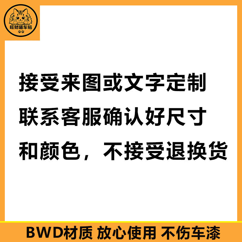 来图定制汽车贴纸创意个性改装拉花腰线侧裙文字装饰贴划痕贴