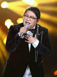 韩红伴奏 飞云之下 美丽的神话 九儿 天亮了 天路 青藏高原 伴奏