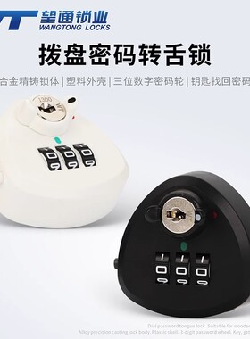 望通9524A密码锁储物信箱转舌锁