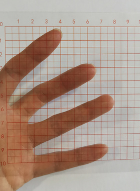 面积测量器0.5cm透明小方格纸每格5mm 小学数学估测面积学具教具