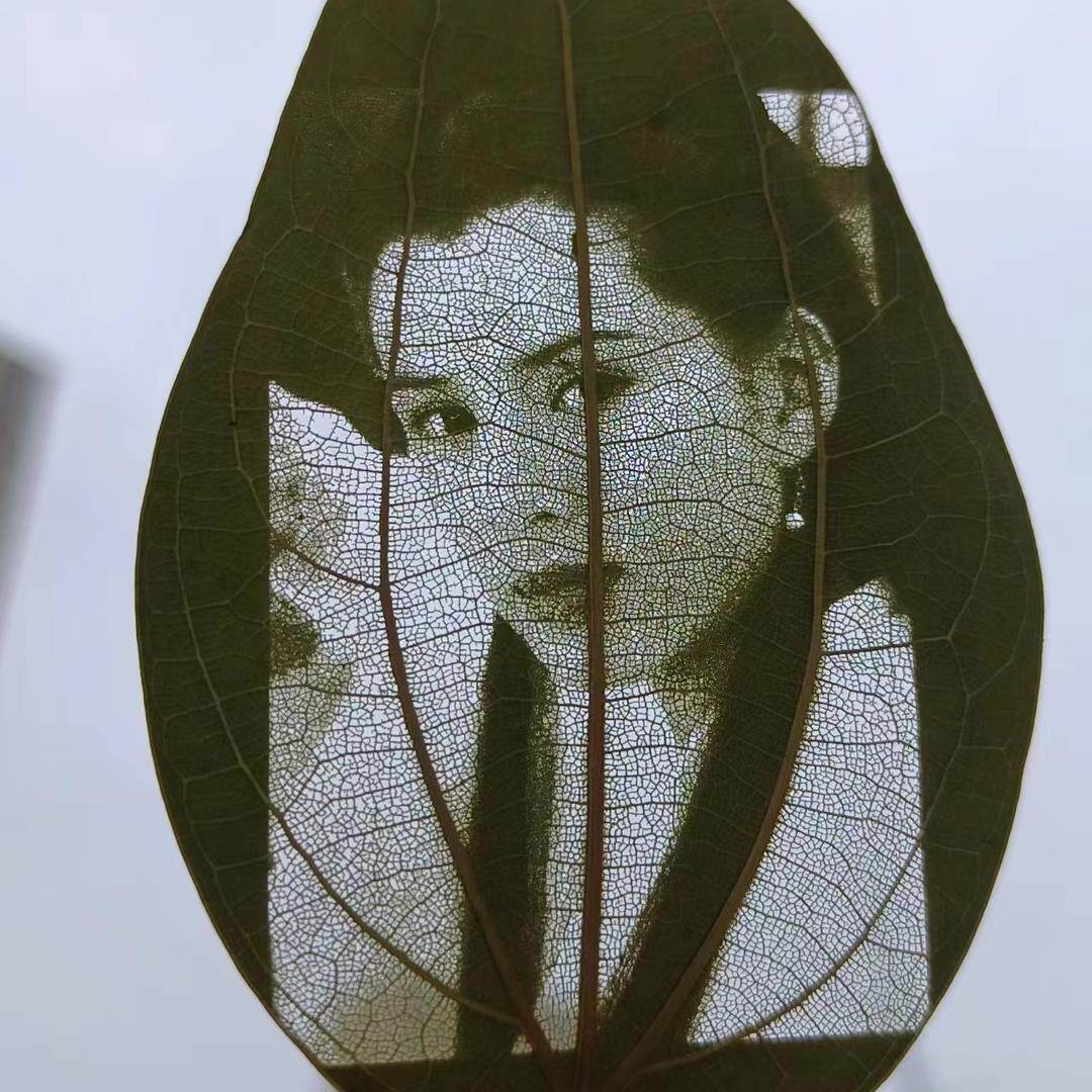 男平安树叶创意生日特别的礼物照片私人定制送男女朋友叶雕摆件纪