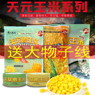 武汉天元嫩玉米窝料黑坑湖库翘嘴大物青草鳊玉米钓饵底窝料通杀