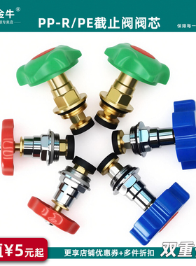 PPR PE截止阀阀芯全铜阀门芯水管管材46分加厚开关25闸阀水暖配件