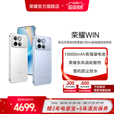 荣耀WIN10000mAh青海湖电池