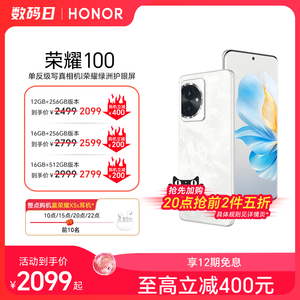 HONOR/荣耀荣耀1005G手机