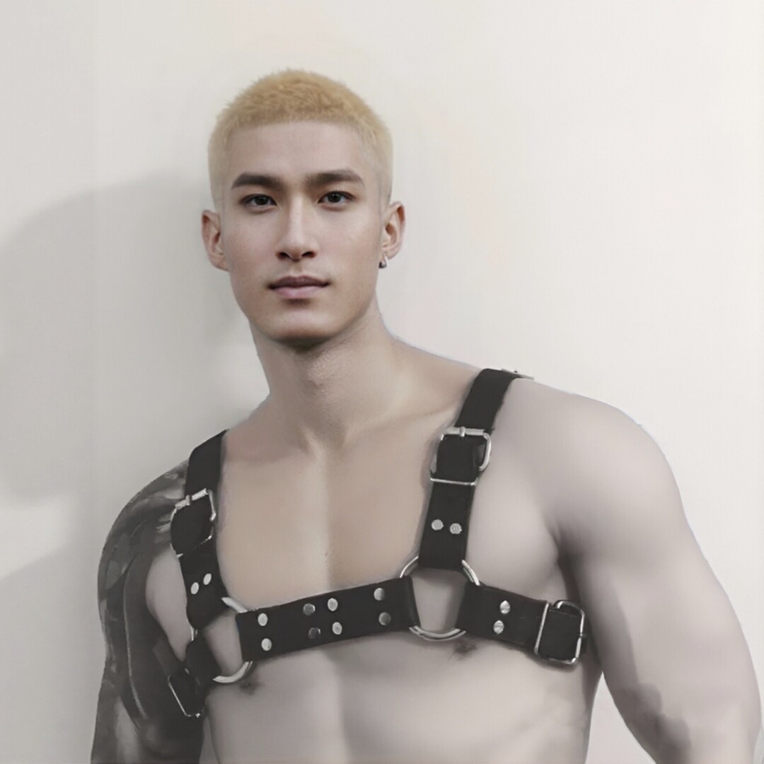 NPC出活动铆钉背带可调节针扣GOGOBOY男士舞蹈夜店束缚衣衬衫配件图片