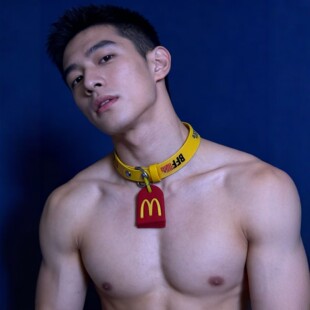 MyGoIdDog创意男宠项圈小狼狗饰品门搞怪纪念1S礼物0M奶狗颈环黄