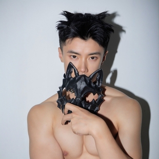 万圣节圣诞面具二次元COS半脸面罩猛虎夜叉天狗狼人拍照造型道具