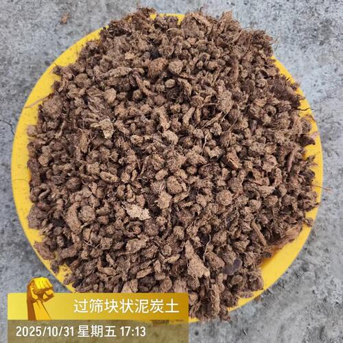 过筛兰花块状泥炭土蕙兰蝴蝶兰土