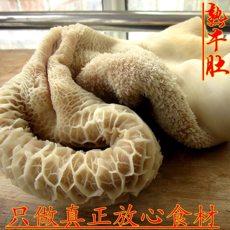 南阳黄牛肚熟牛肚新鲜牛肚 500克毛肚黄牛杂碎非牛百叶牛大肚真空