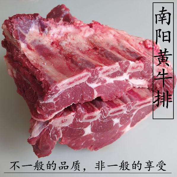 河南南阳黄牛排骨带骨牛排 牛肋排 新鲜牛排骨 牛仔排 带肉牛肋排