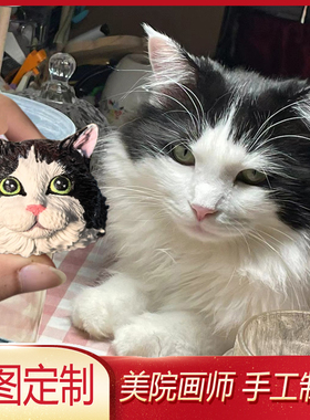 布偶猫定制小狗模型冰箱贴澳洲牧羊犬巴吉度猎犬曼基康猫车载摆件