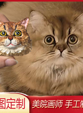 金渐层车载摆件宠物金吉拉猫褴褛猫挪威森林猫迷你定制冰箱贴汽车