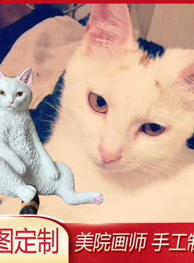 阿比西尼亚猫宠物定制车载装饰土耳其安哥拉猫迷你全身像创意礼品