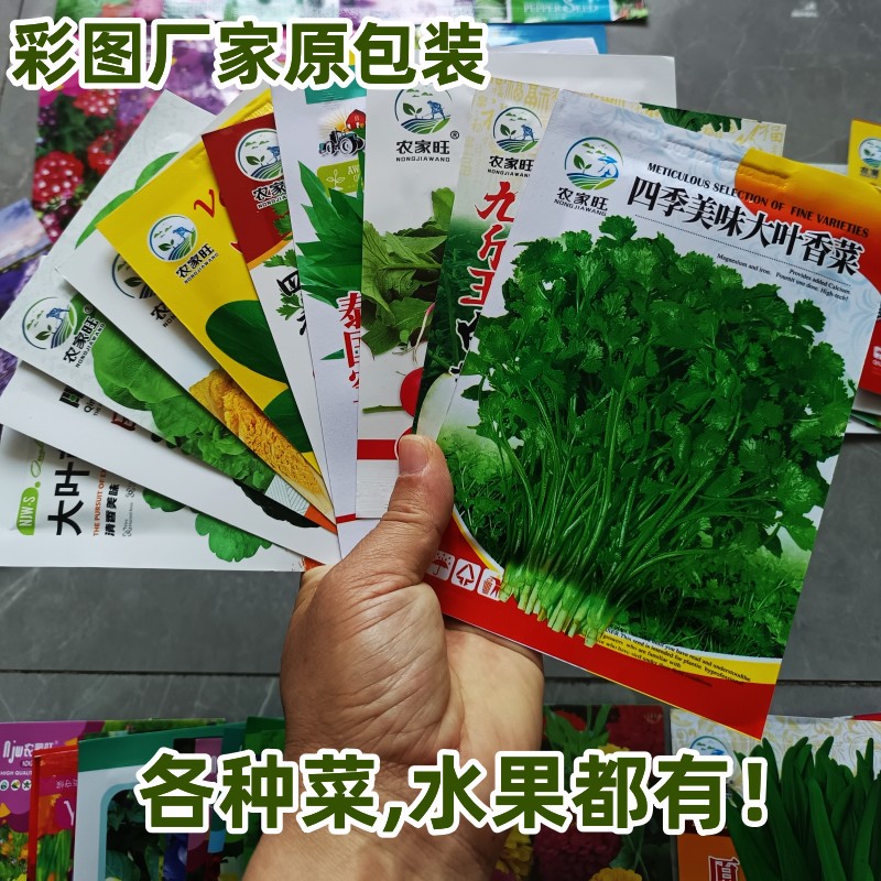 彩图原装阳台盆栽蔬菜种子四季播图片