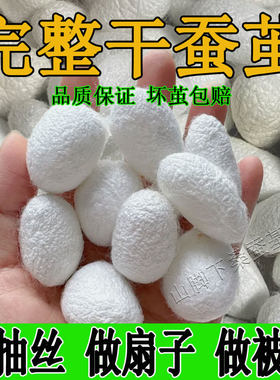 双宫桑蚕茧可抽蚕丝扇做被子手工