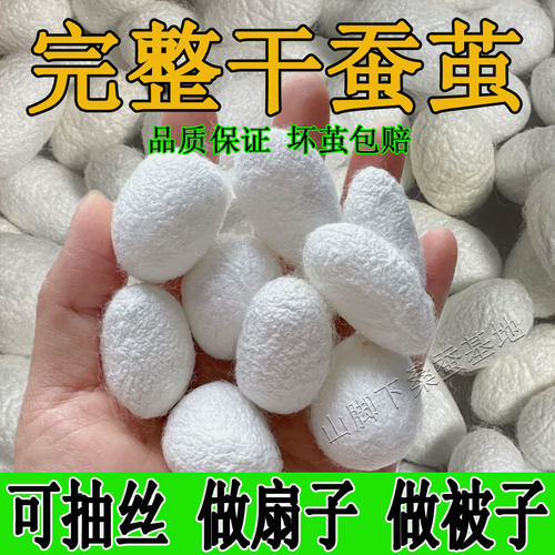 双宫桑蚕茧可抽蚕丝扇做被子手工