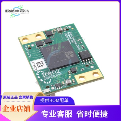 MCU微控制芯片TE0714-03-35-2I 原装正品提供电子元器配单服务