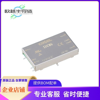 DC/DC电源模块SUCW61212B《DC DC CONVERTER +/-12V 24V 6W》