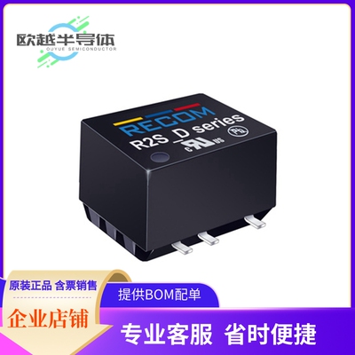DC/DC电源模块R2S8-243.3/P-R《DC DC CONVERTER 3.3V 2W》