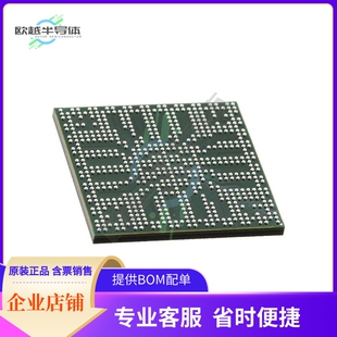 提供电子元 正品 器配单服务 原装 MCU微控制芯片DM383AAAR21F