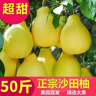 福建莆田沙田柚子礼盒装