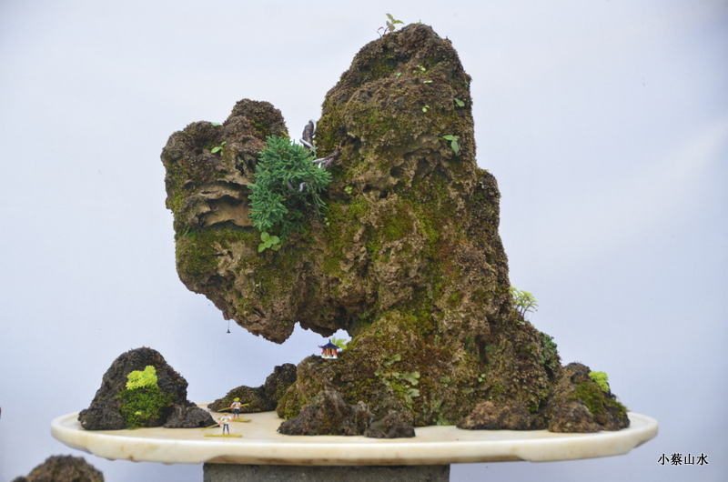山水盆景盆假山石原石上水石天然石
