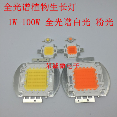 50w全光谱波长大功率LED植物灯珠