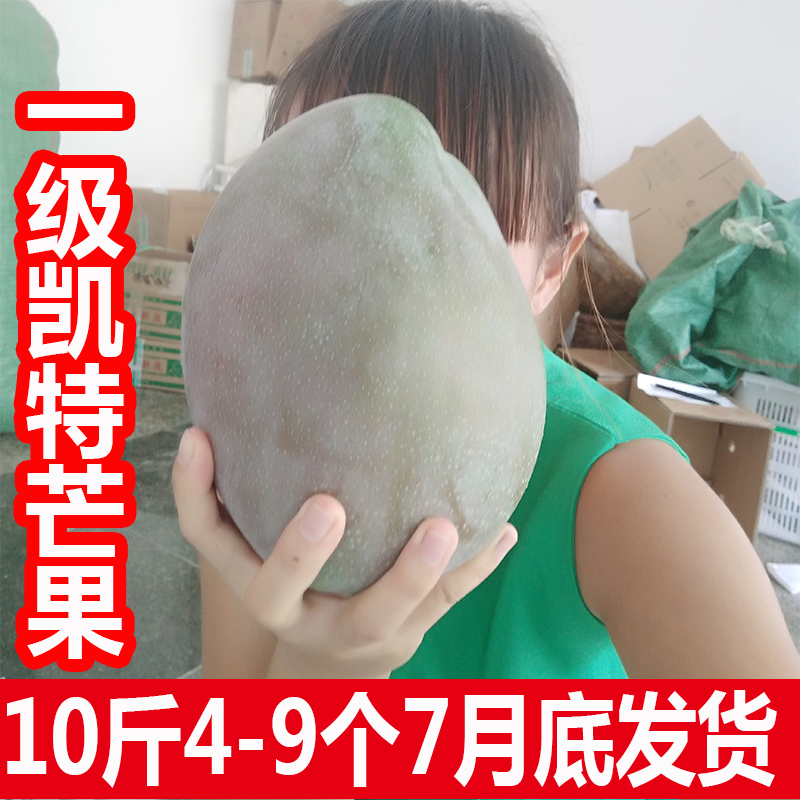 一級果10斤裝攀枝花芒果凱特芒臺農10斤非金煌芒芒果新鮮芒果青芒