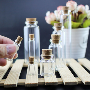 包邮珍珠绿豆林木大种核子收集玻璃瓶西瓜籽标本五谷杂粮食收藏瓶