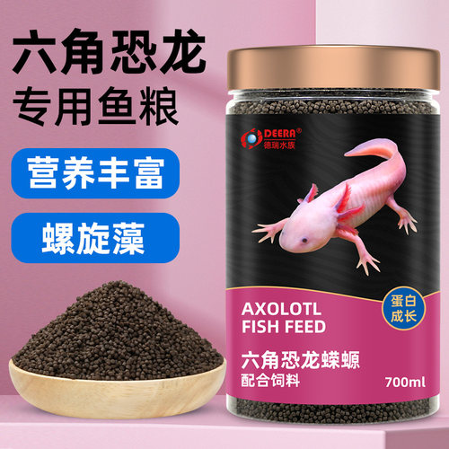 东方蝾螈娃娃下沉型六角恐龙鱼