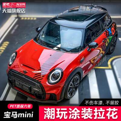宝马MINIcooperSR56车贴