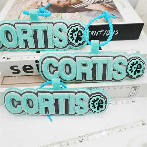 CORTIS男团不织布成品挂件学生包包背包挂饰送同学生日礼物吊牌