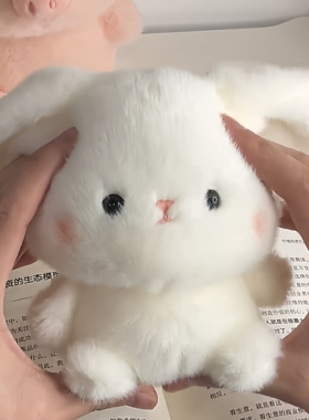 可爱猪猪公仔毛绒玩具桌伴侣陪睡床上玩偶网红布娃娃生日礼物女生