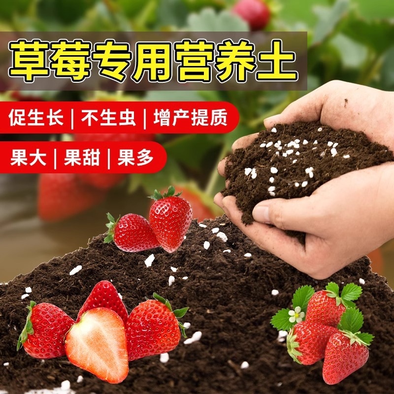草莓瓜果专用有机营养土
