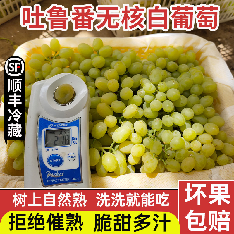 新疆葡萄新鲜应季水果吐鲁番无核白无籽青提葡萄整箱顺丰冷链包邮