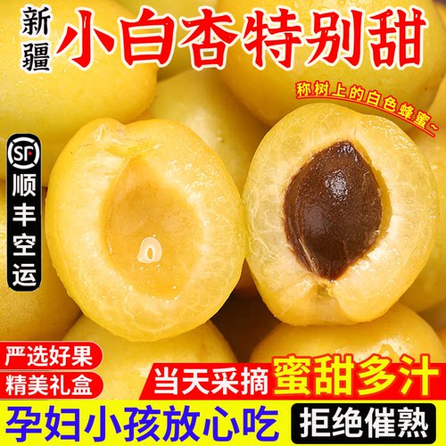 【顺丰空运】新疆小白杏软糯香甜