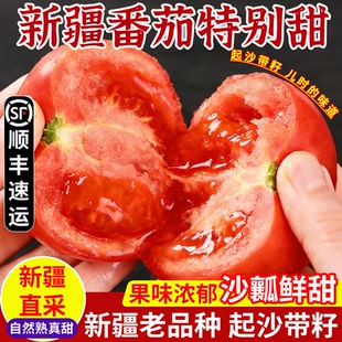 新疆普罗旺斯沙瓤西红柿新鲜自然熟生吃番茄孕妇水果当季 大果整箱