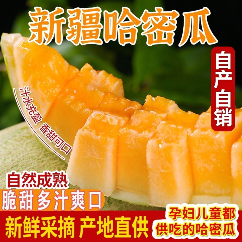 新疆哈密瓜新鲜水果甜瓜整箱吐鲁番西州蜜10斤应当季现摘全国包邮,水产肉类/新鲜蔬果/熟食,哈密瓜,淘宝优惠券,粉丝福利购,淘宝优惠卷