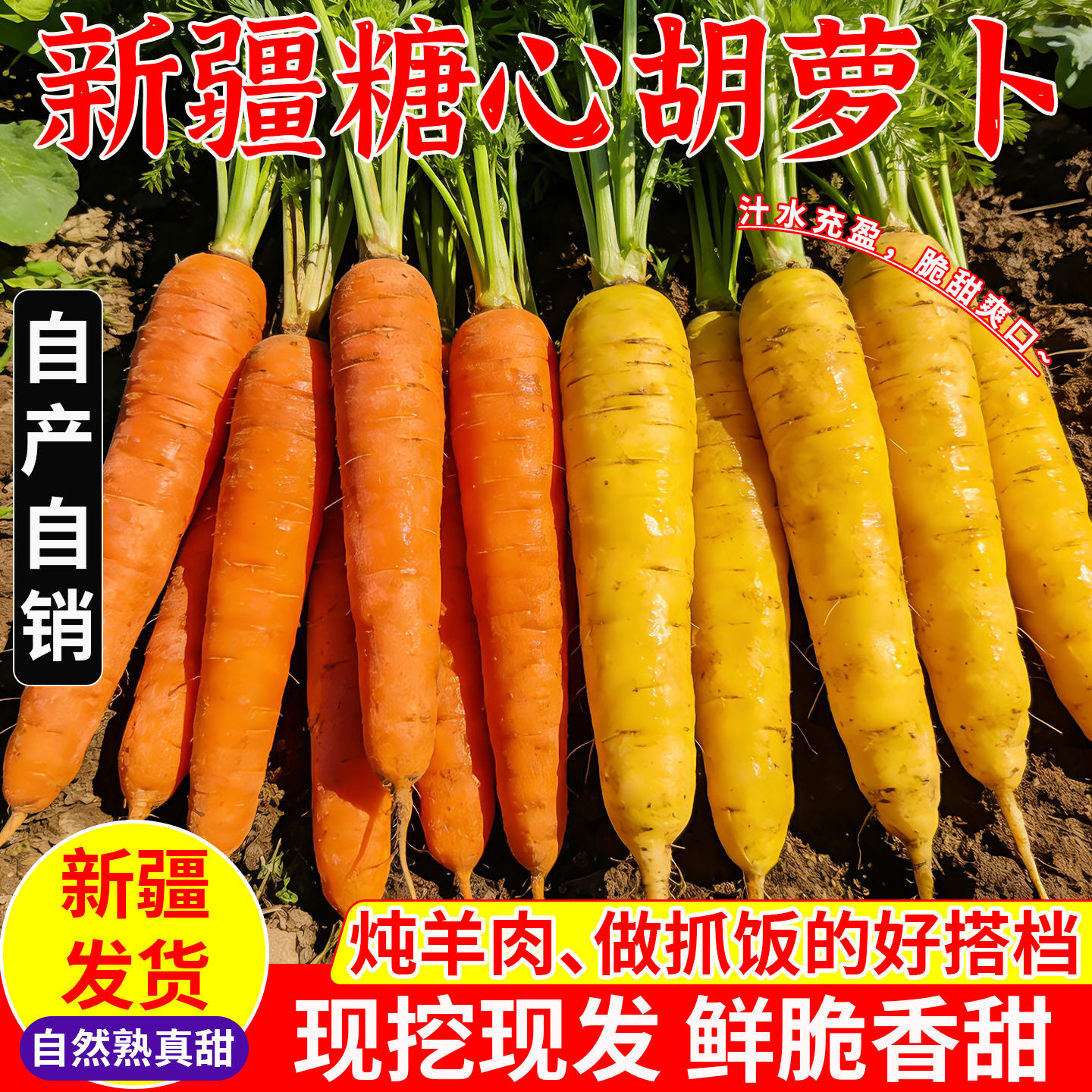 新疆糖心黄胡萝卜新鲜蔬菜现挖生吃黄心萝卜脆甜多汁整箱5斤包邮