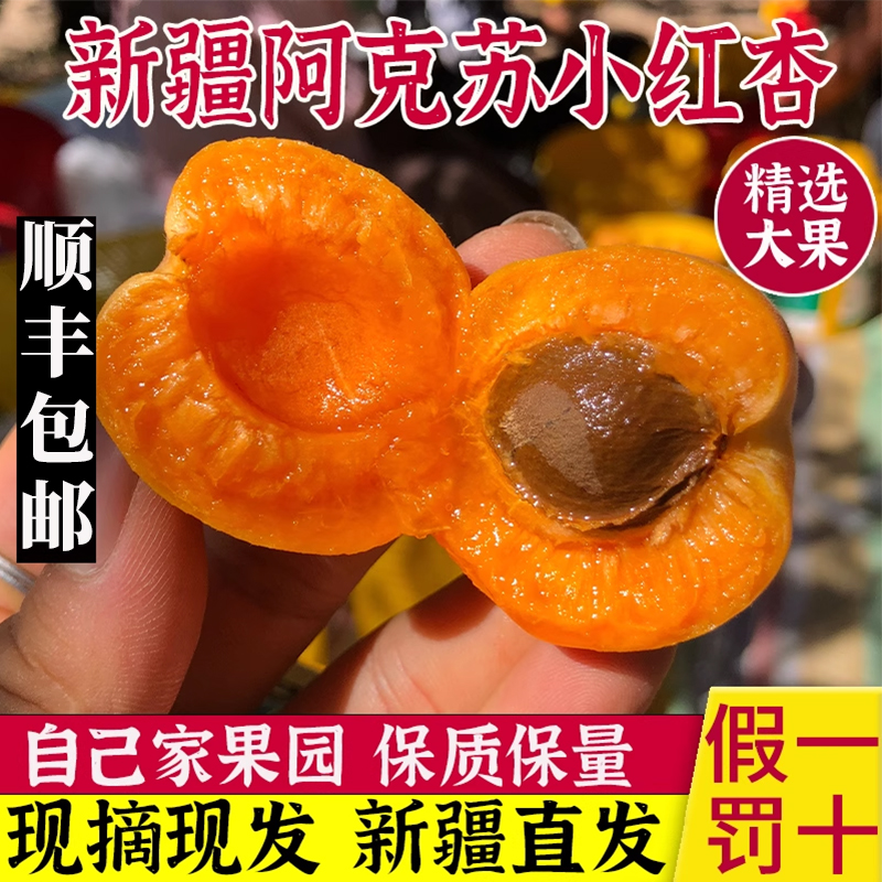 新疆小红杏新鲜阿克苏杏子水果新鲜水果当季甜杏子顺丰包邮