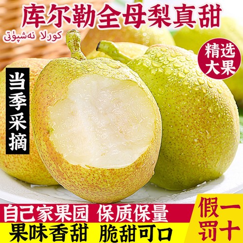 正宗库尔勒香梨大果新鲜产地直发