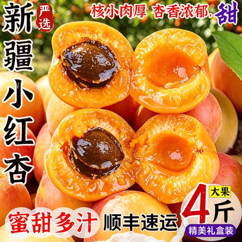 【官方推荐】小红杏软糯香甜！